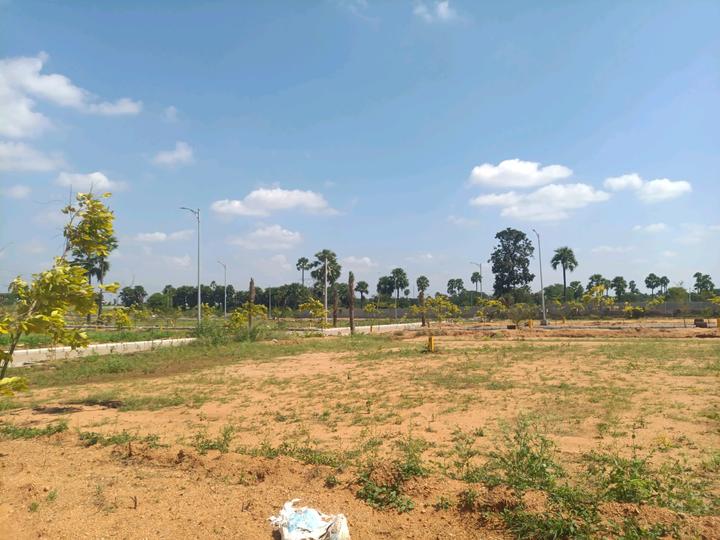 SGD Elite Main Image 1