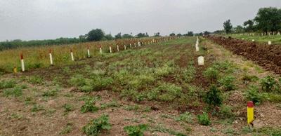 Image of 5680 Sq.ft Residential Plot / Land for sale in Shirur, Pune for Rs. 2050000