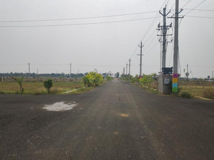 Chelluru Main Image 1