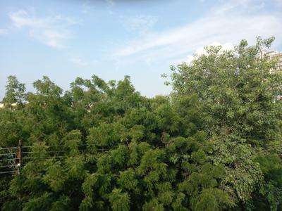 Image of 2200 Sq.ft 3 BHK Independent House for rent in Sector 34, Noida for Rs. 65000