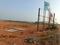 Chinnapadugupadu Plot View 2