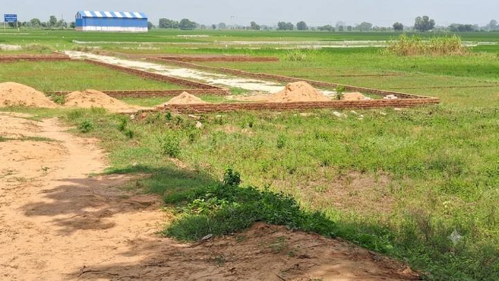 Bihta Main Image 1