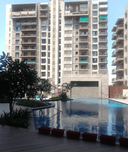 Image of 4650 Sq.ft 4 BHK Apartment / Flat for sale in Kalpataru Grandeur, Palasia, Indore for Rs. 100000000