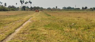 Image of 1200 Sq.ft Residential Plot / Land for sale in Arakkonam, Ranipet for Rs. 480000