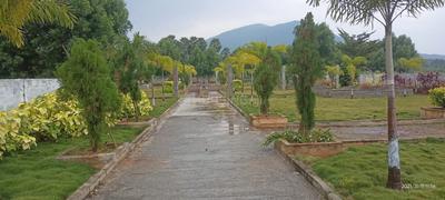 Residential Plot
