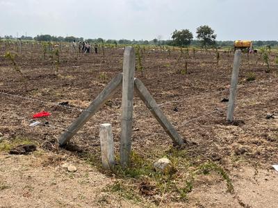 Agricultural Land