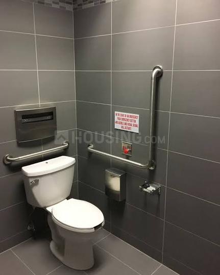 Praneeth Ixora Main Image 1