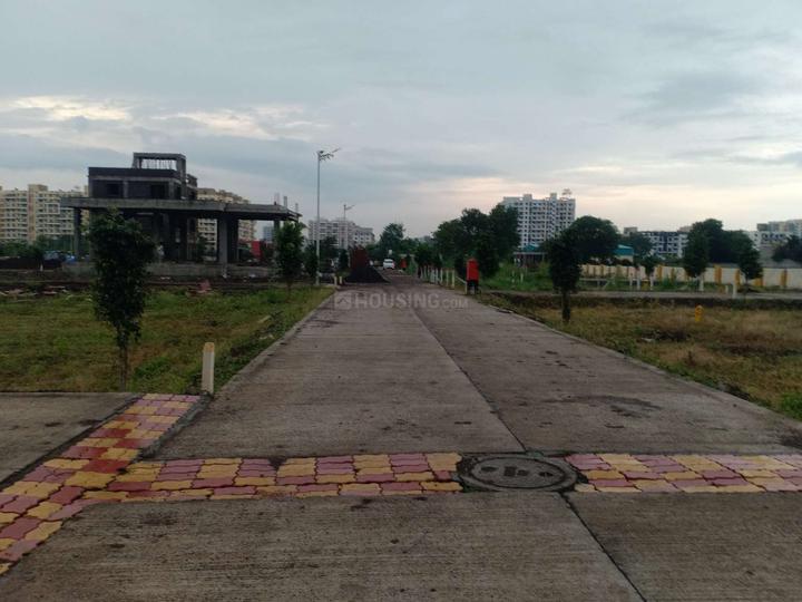 NERAL PLOTS Main Image 1