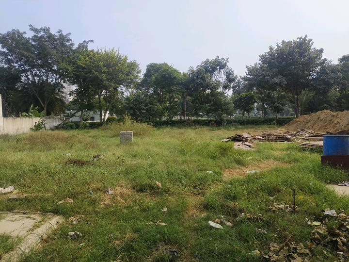 Roots Courtyard 2 Main Image 1