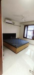 Bedroom Image of 1615 Sq.ft 3 BHK Builder Floor for rent in The Promont, Khanpur Mohali for Rs. 39000