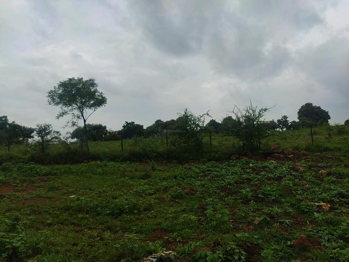 Shivshwarup Developers Main Image 1