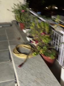 Balcony Image of 750 Sq.ft 1 BHK Independent House for rent in Panchsheel Park New Delhi for Rs. 65000