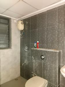 Common Bathroom Image of 900 Sq.ft 2 BHK Apartment / Flat for rent in Lodha Palava Milano E F, Palava Phase 2 Thane for Rs. 14700