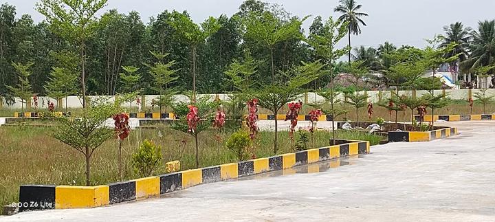 PL green field Main Image 1