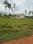 Hinkal Plot View 2