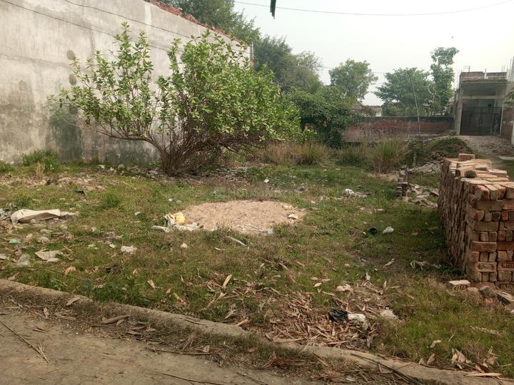 Dubkiya Main Image 1