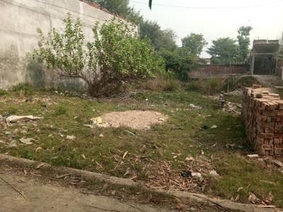 Dubkiya Plot View 1