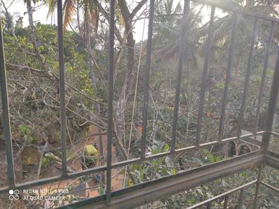 Balcony Image of 1430 Sq.ft 3 BHK Apartment / Flat for sale in Tilakwadi Belagavi for Rs. 6500000