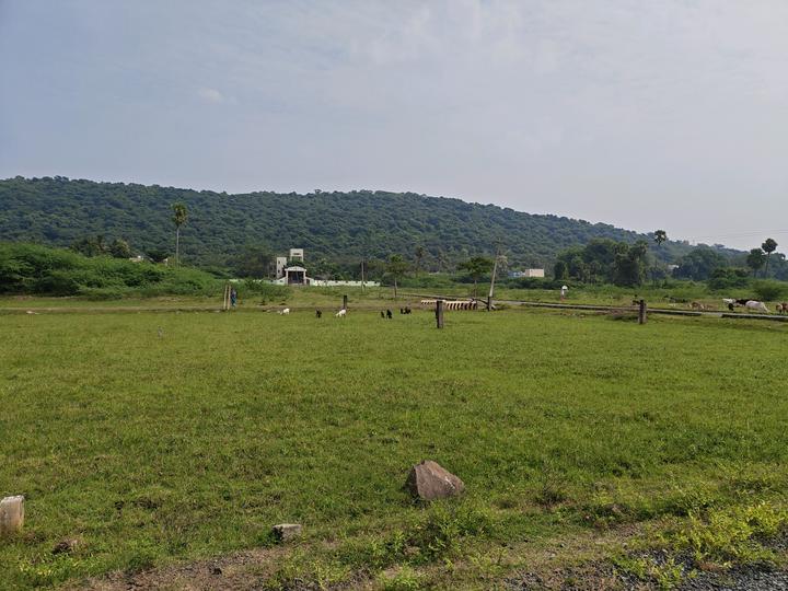 Singaperumal Koil Main Image 1