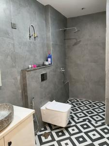 Common Bathroom Image of 1935 Sq.ft 3 BHK Builder Floor for sale in Sushant Lok Phase 1 Gurgaon for Rs. 29900000