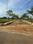 Fortenth avenue thukkuguda Plot View 2
