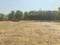 Sandor, Vasai West Plot View 1