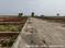 Kapsaur Padri Main Image 1