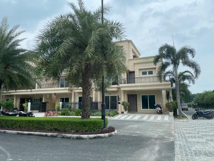 Sapphire Royale Main Image 1