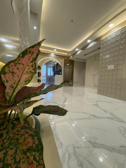 Kalyan Eva Main Image 1