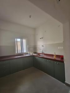 Kitchen Image of 1260 Sq.ft 3 BHK Apartment / Flat for rent in Hatia Ranchi for Rs. 22000