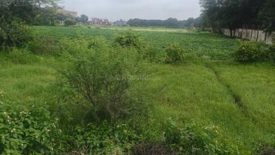 Image of 600 Sq.ft Residential Plot / Land for sale in Chintaman Jawasiya, Ujjain for Rs. 2000000