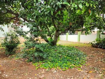 Image of 1200 Sq.ft 2 BHK Independent House for rent in Vani Vilas Mohalla, Mysore for Rs. 25000