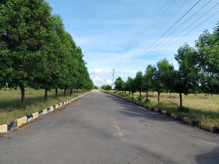 SR Pharma Green City Main Image 1