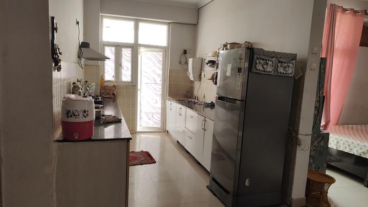 Saviour Greenisle Main Image 1