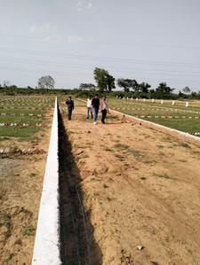 Mahua Bagh Plot View 3