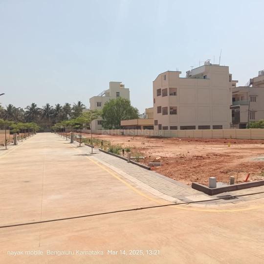 Erayaa shivanandi orchid Main Image 1