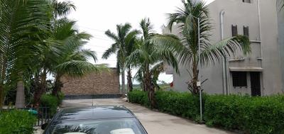 Image of 1080 Sq.ft 2 BHK Independent House for rent in Maroli, Navsari for Rs. 14000