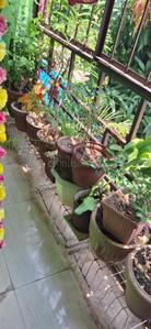 Balcony Image of 1600 Sq.ft 2.5 BHK Apartment / Flat for sale in Kangoli Jagdalpur for Rs. 2550000