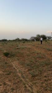 Image of 20160 Sq.ft Residential Plot / Land for sale in Piprali, Sikar for Rs. 16500000