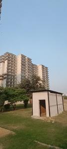 Image of 600 Sq.ft 1 BHK Apartment / Flat for rent in ROF Aalayas 1, Sector 102, Gurgaon for Rs. 15000
