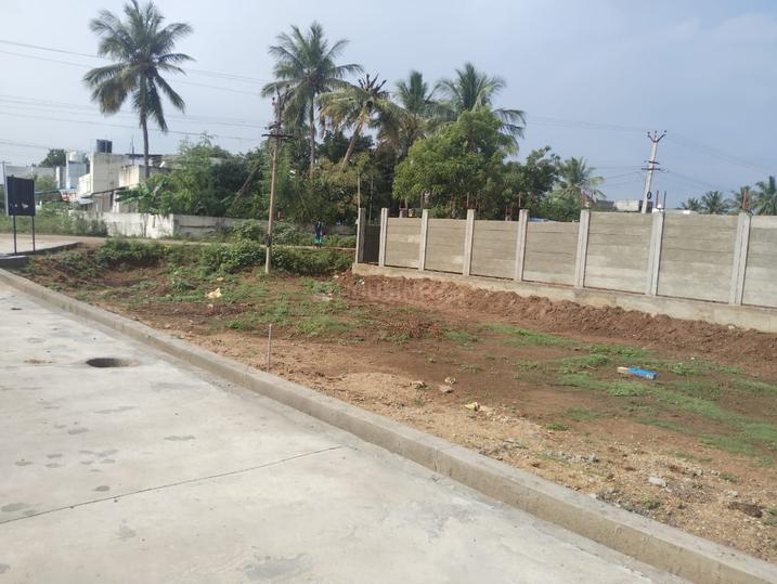 Breeze Avenue Main Image 1