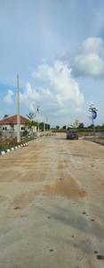 V INFRA Plot View 2