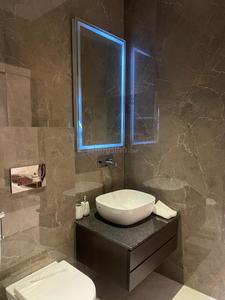 Bathroom Image of 2505 Sq.ft 4 BHK Apartment / Flat for sale in Uptown Skylla, PR7 Airport Road Zirakpur for Rs. 20000000