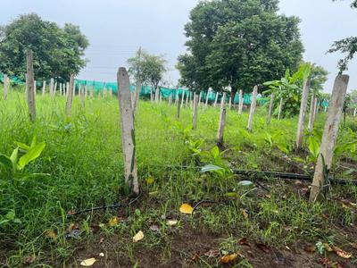 Image of 12200 Sq.ft Residential Plot / Land for sale in Bhatagaon, Raipur for Rs. 5475000