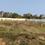 Raghunathpur Plot View 2