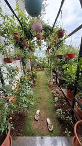 Image of 4250 Sq.ft 5 BHK Apartment / Flat for sale in Bavdhan, Pune for Rs. 70000000