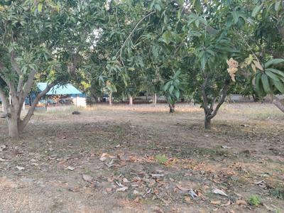 Image of 1500 Sq.ft 2 BHK Farm House for sale in Mahabalipuram, Chennai for Rs. 25000000