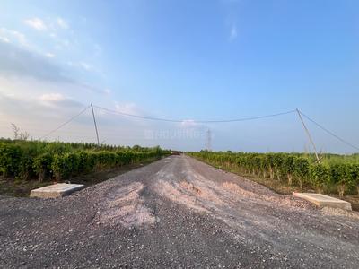 Agricultural Land