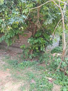 Image of 2400 Sq.ft Residential Plot / Land for sale in Jakkur, Bengaluru for Rs. 38400000
