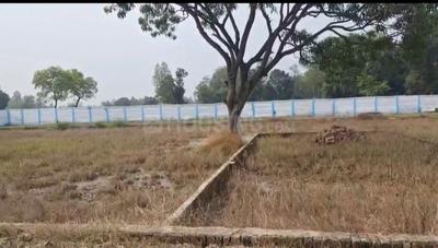 Image of 1000 Sq.ft Residential Plot / Land for sale in Gosainganj, Lucknow for Rs. 1999000